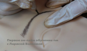 онлайн4