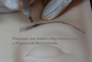 онлайн5