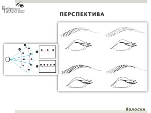Слайд08