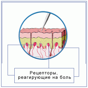 0015-012-Izuchenie-novogo-materiala