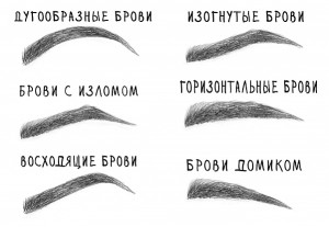 201300731-brovki3
