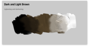 Dark-and-light-brown