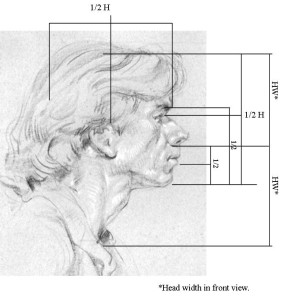 Head-Drawing-Proportions-Side