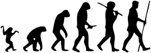 Human_evolution_scheme.svg