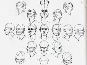 head-perspective
