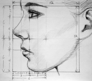 profile_proportions_by_pmucks-d83alsf