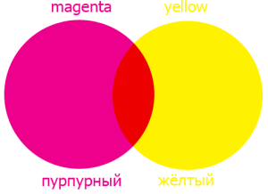 color01