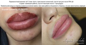 мои работы