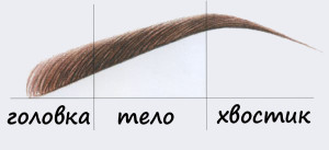 brow