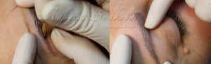 cover4