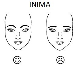 fata-inima